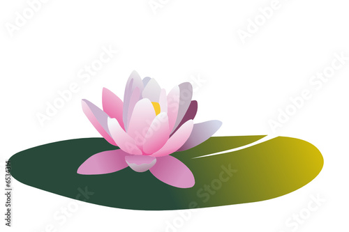 vector Water lilly nymphaea - Irene