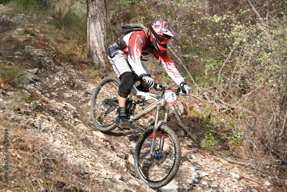 VTT de descente