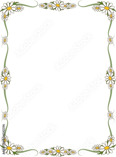Daisy Border