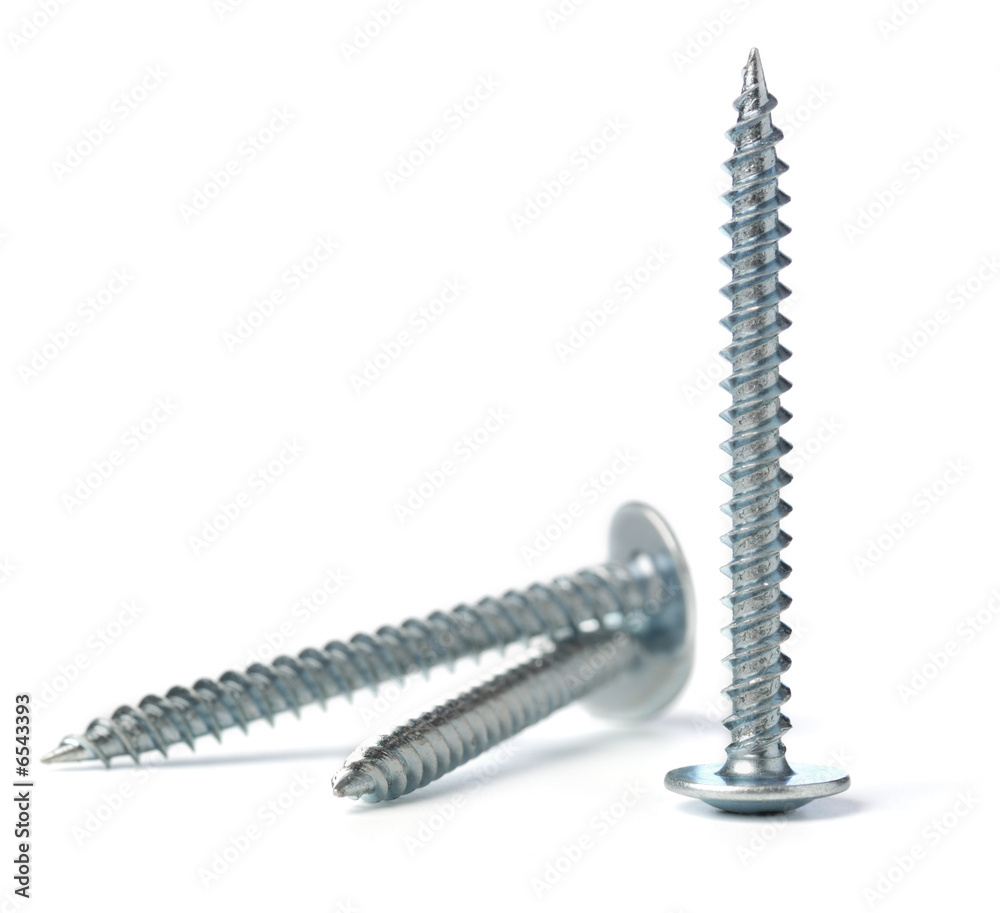 Screw Screw