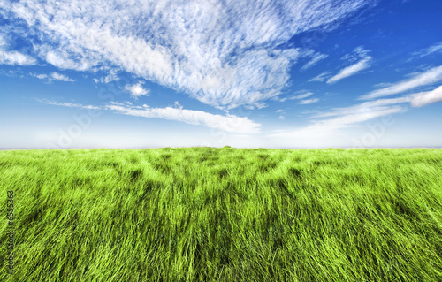 Simple high grass horizon