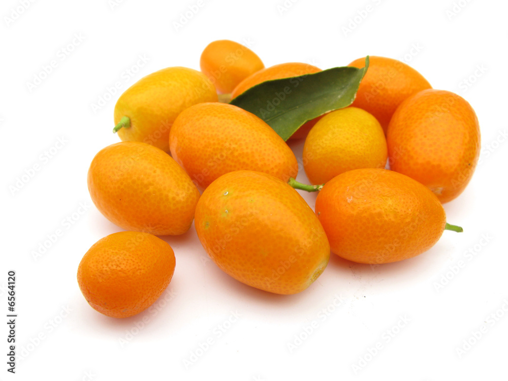 Cumquat or kumquat Cumquat or kumquat