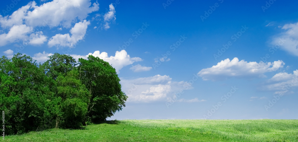 Green field and wood Green field and wood