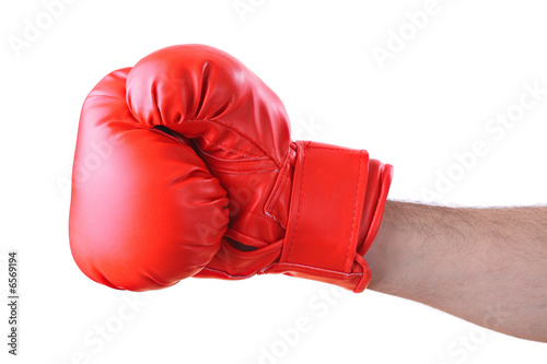 Boxer against white background