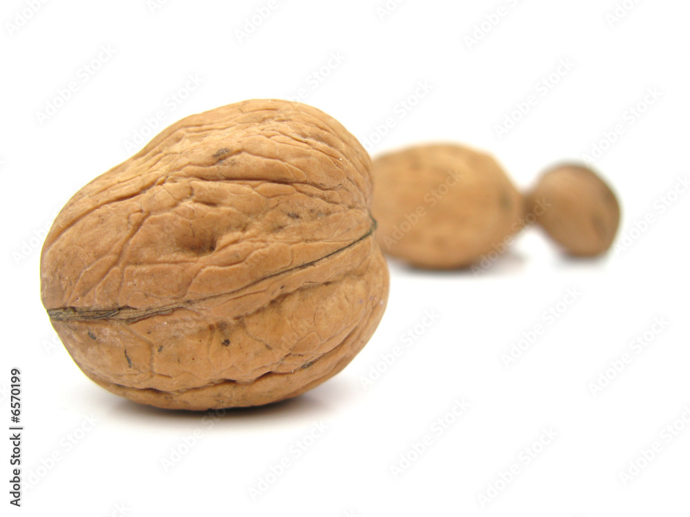 Walnut and walnuts isolated on white background Walnut and walnuts isolated on white background