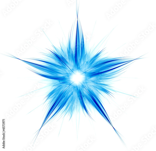 Blue Flower on White