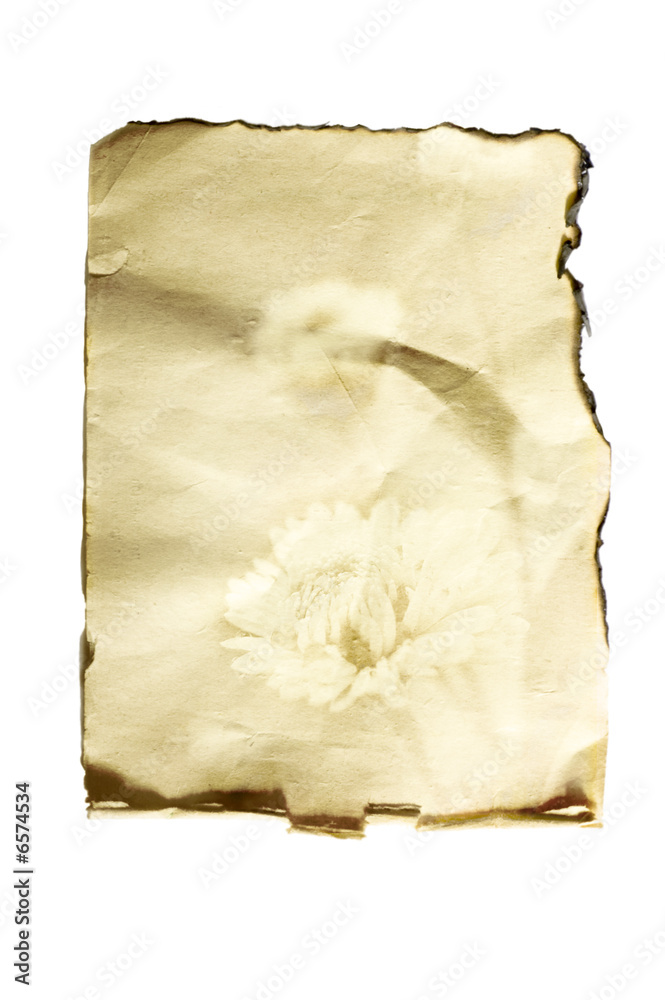 old paper old paper