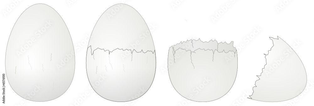 ovos