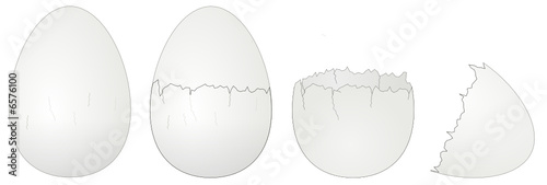 ovos