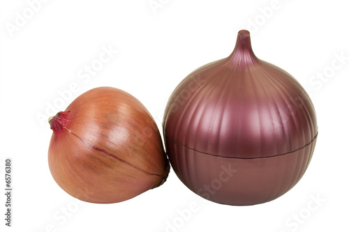 Fresh Onion And Onion Saver