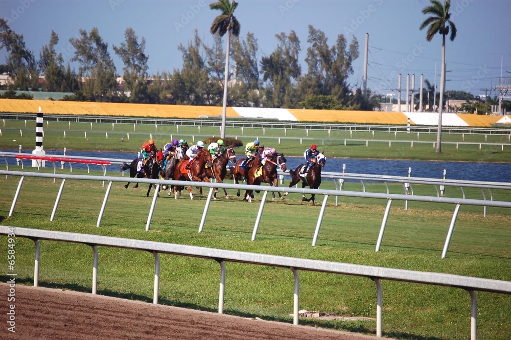 Obraz premium Racing on Turf