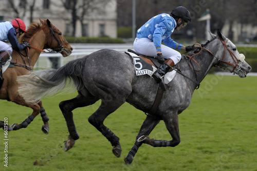 horse racing auteuil 07