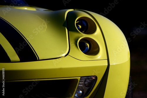 Принти на полотні petit roadster