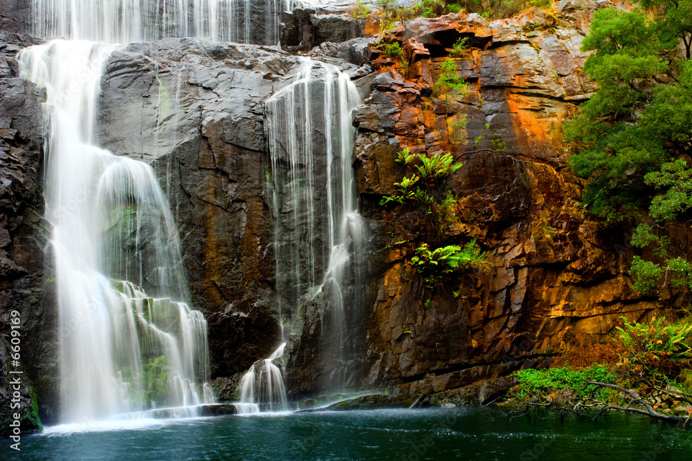 Waterfall Beauty