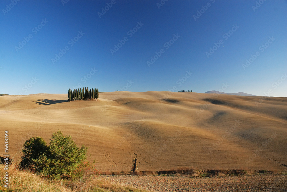 Obraz premium Tuscany