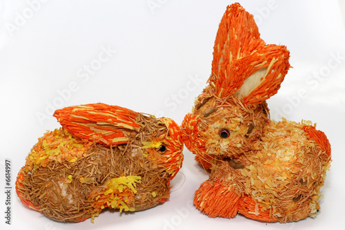 Two rabbits are kissing