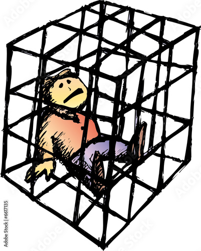 the cage