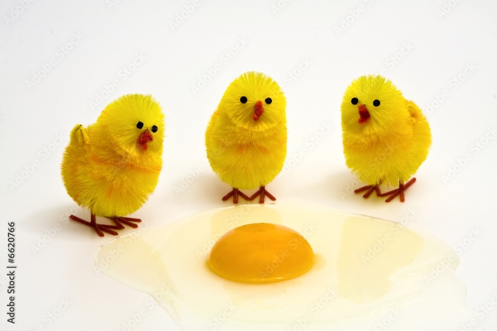 osterküken osterküken