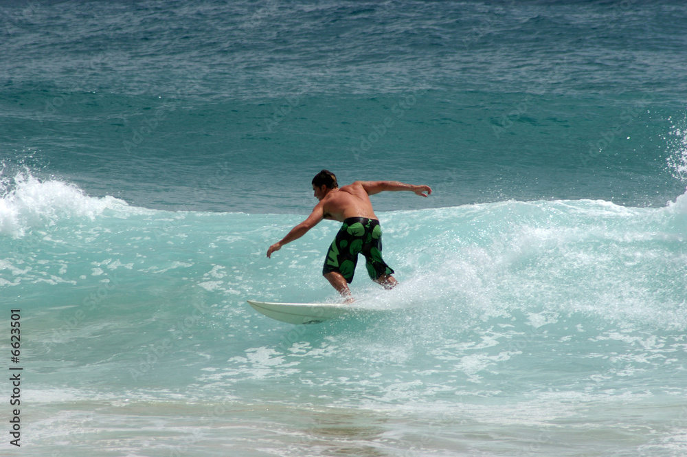 surf australia