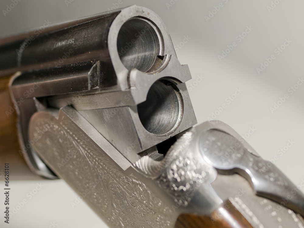 Escopeta de caza Stock Photo Adobe Stock