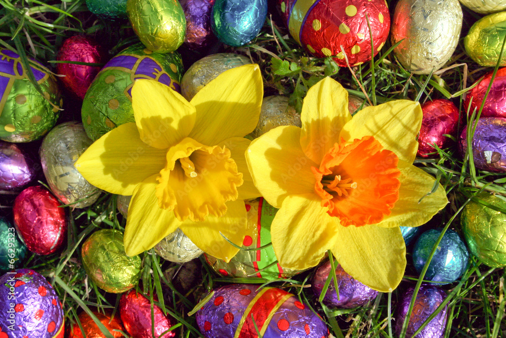 easter eggs with daffodils