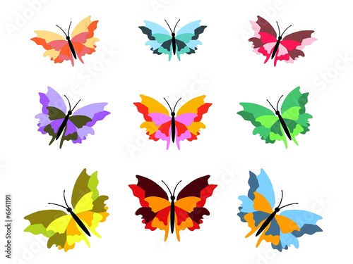 Nine Butterflies © darren whittingham
