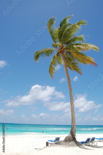 caraibi photo