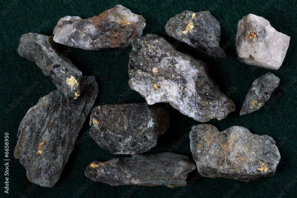 Ore Samples from Homestake Mine, South Dakota showing Gold