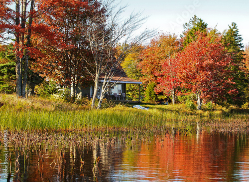 Autumn lakeside cottage scene in full fall colors. © geno sajko
