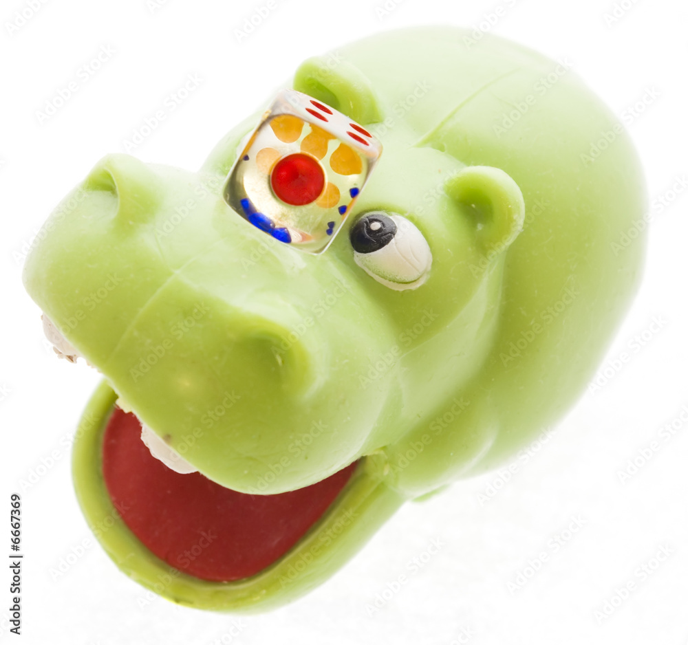 Playful hippopotamus Playful hippopotamus