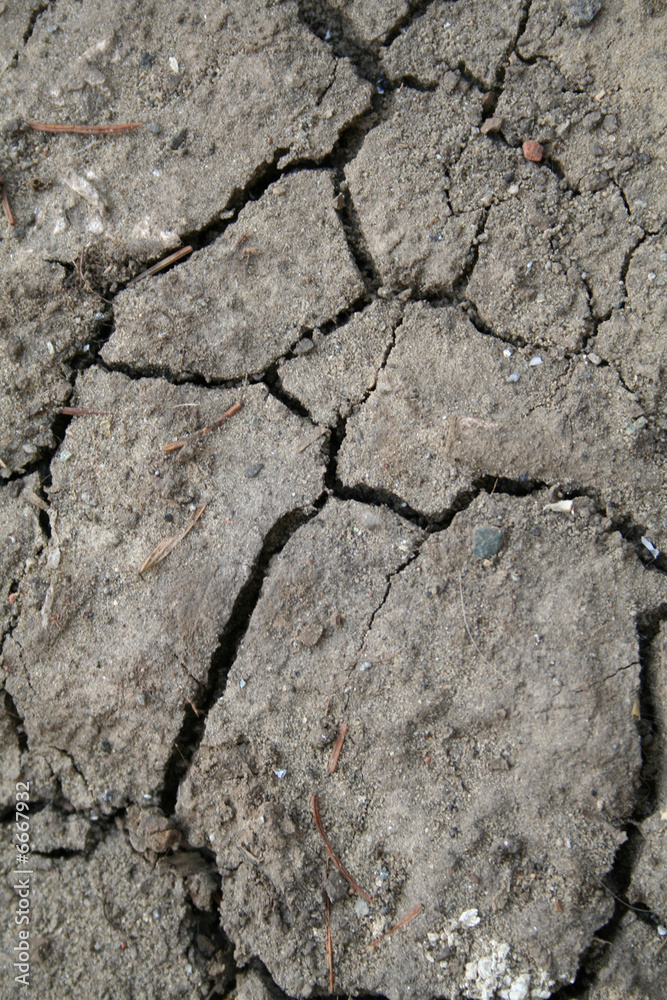 Fototapeta premium surface of wall texture can be used as background