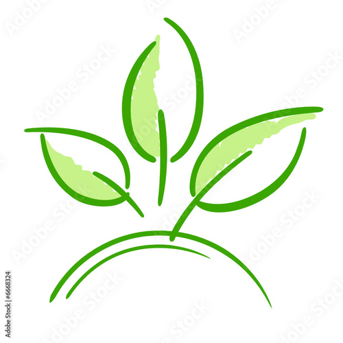 3 feuilles cartoon