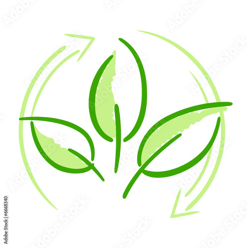 Feuilles recyclage