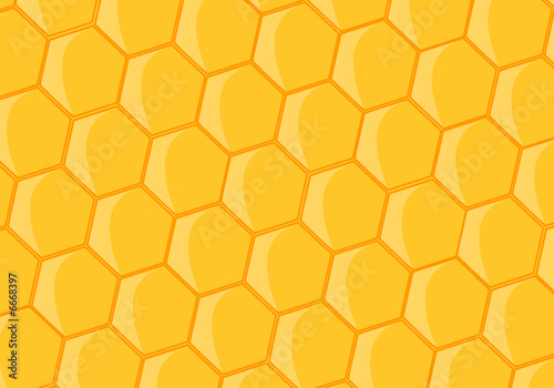 fundo cera