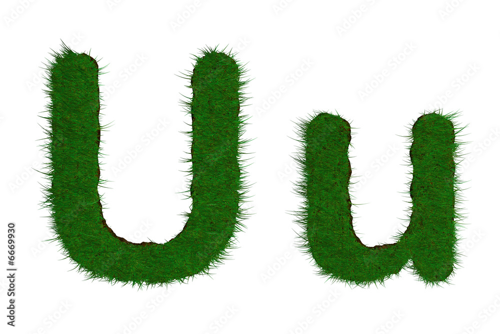 lettre U herbe prairie lettre U herbe prairie