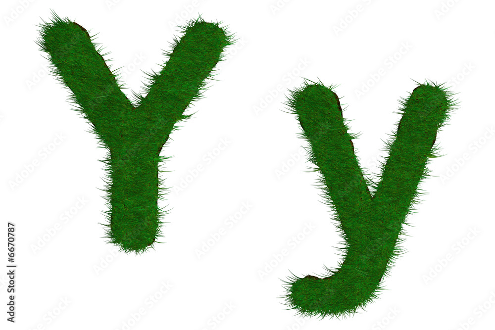 lettre Y herbe prairie lettre Y herbe prairie