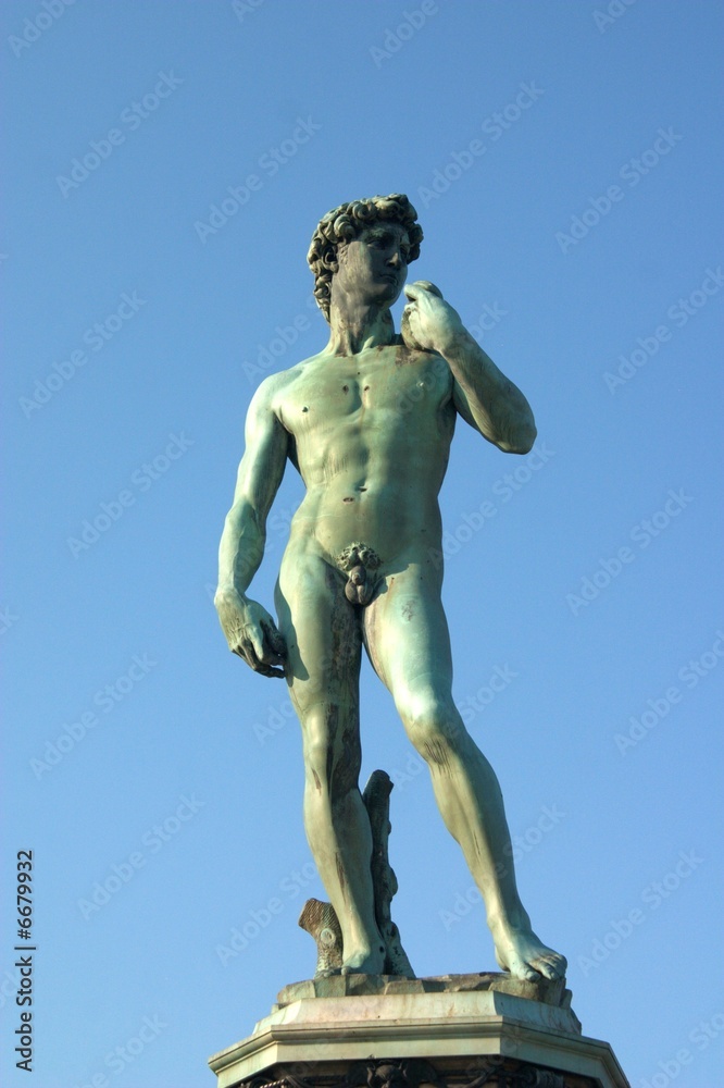 Naklejka premium The David