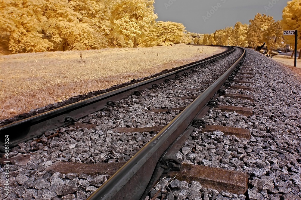 Naklejka premium Infrared photo – railway track and tree in the parks