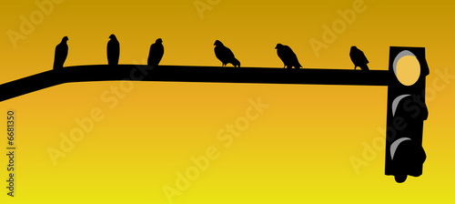 Pájaros sobre un semáforo