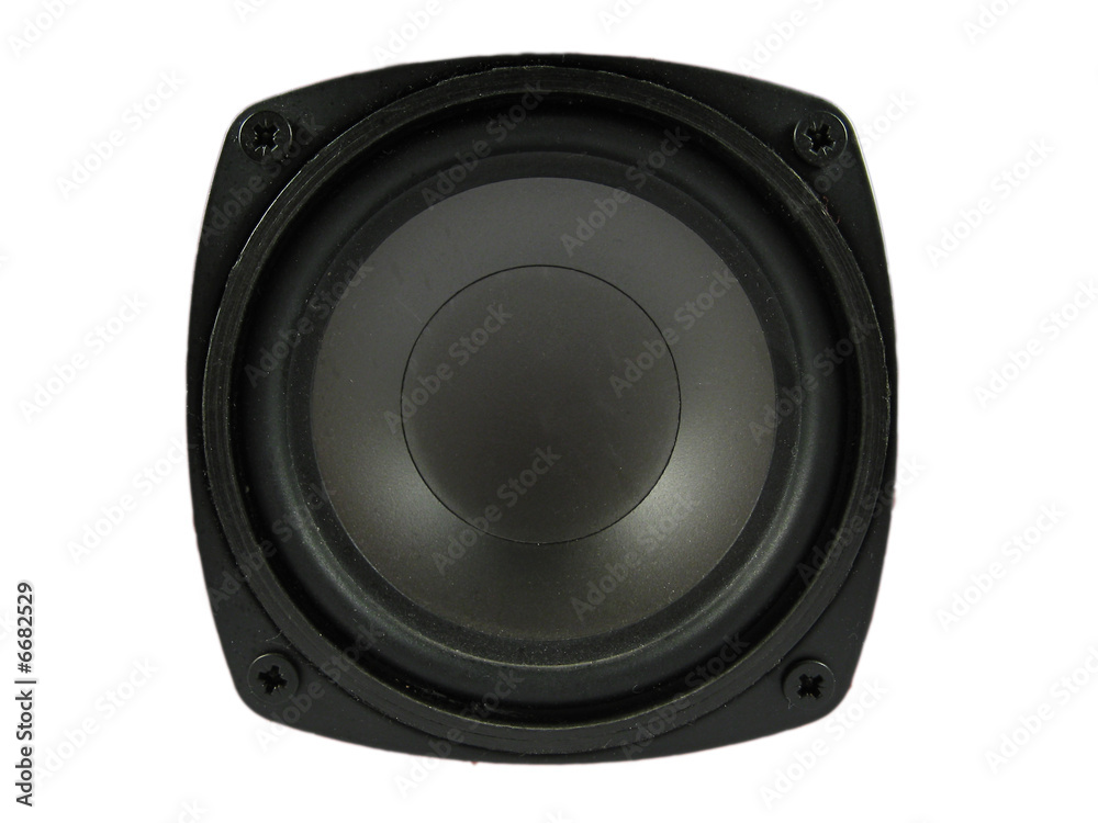 loudspeaker woofer driver loudspeaker woofer driver