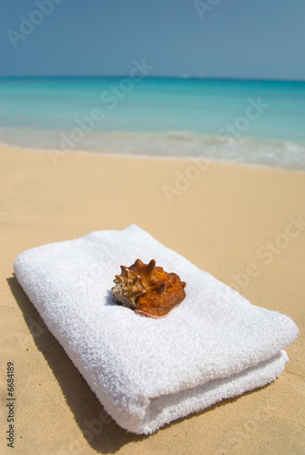 Shell with towel on beach.