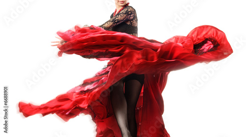 Obraz na plátně Elegant flamenco