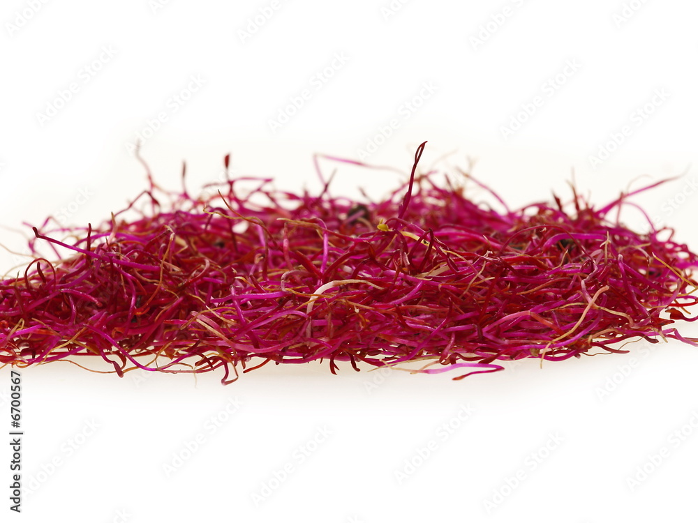 Fototapeta premium geriebene rote beete, rote rübe