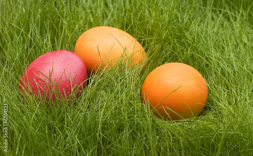 easter colored eggs