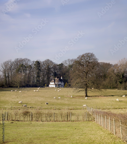 footpath photo