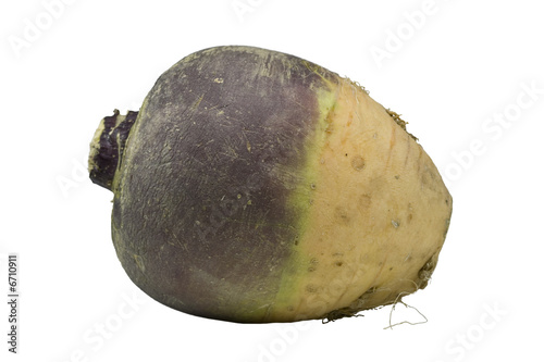 Rübe