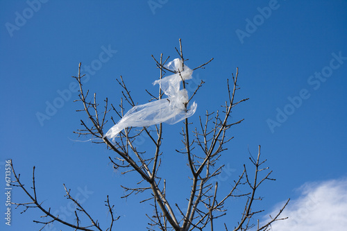 Sac plastique accroché à la branche d'un arbre  photo