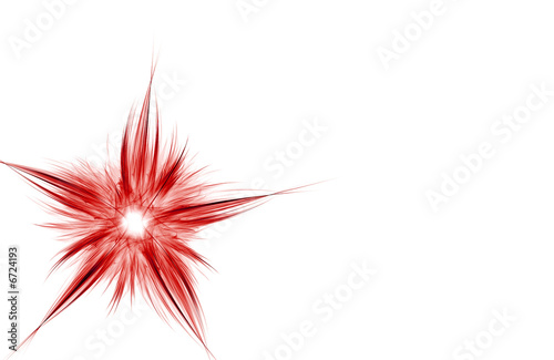 Red Flower on White