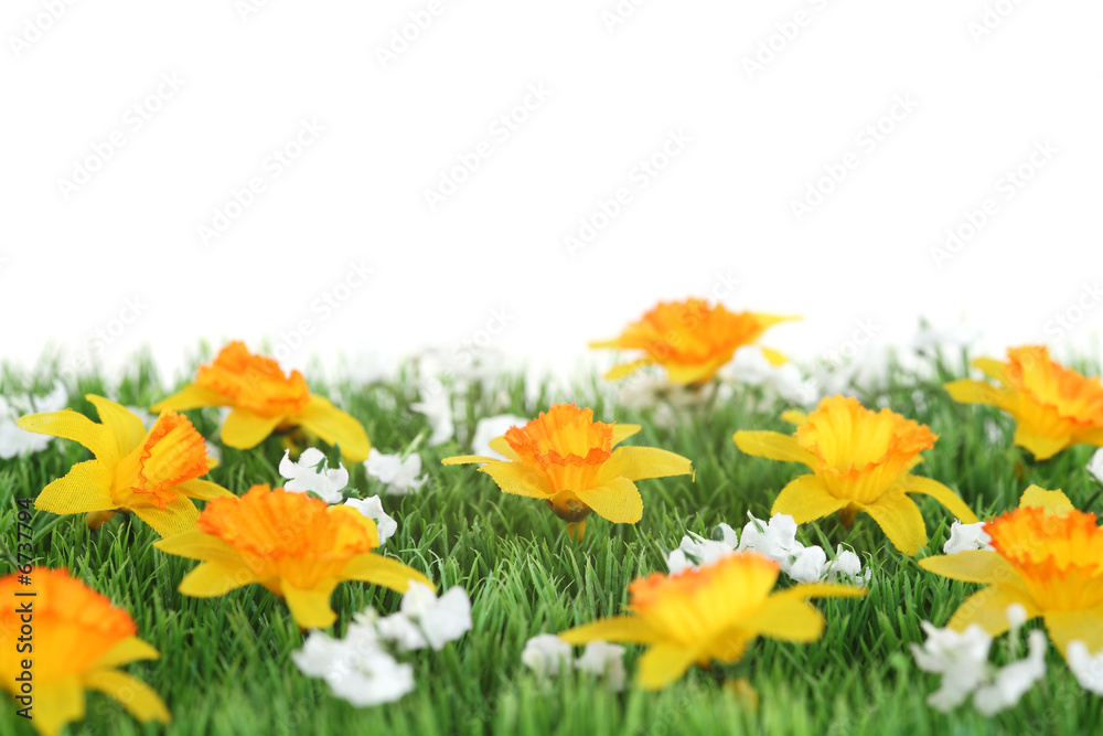 Obraz premium Herbe avec fleur jaune