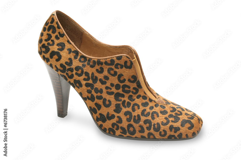 Obraz premium female shoe